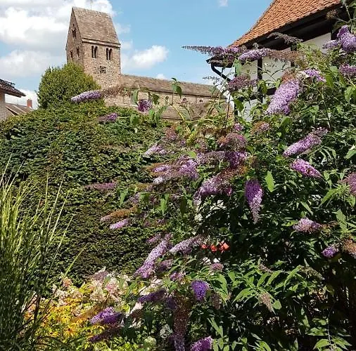 Дом отдыха Fachwerkhaeuschen Бад-Пирмонт