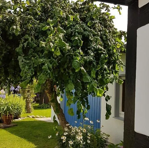 Fachwerkhaeuschen Дом отдыха *